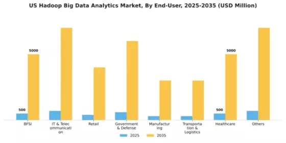 US Hadoop Big Data Analytics Market Segment Image 2