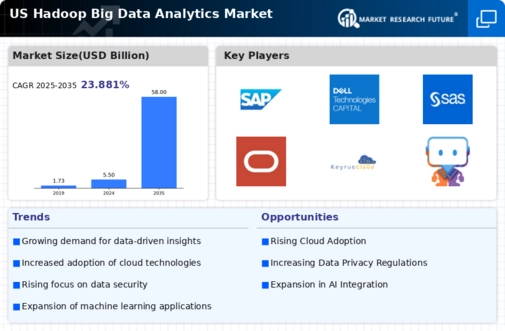 US Hadoop Big Data Analytics Market Infographic