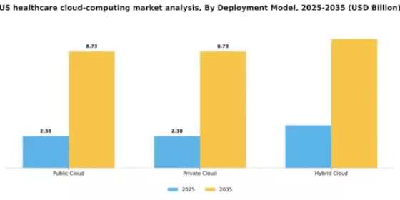 US Healthcare Cloud Computing Market Segment Image 1