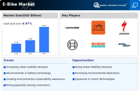 E-Bike Market Research Report- Forecast to 2035 Infographic
