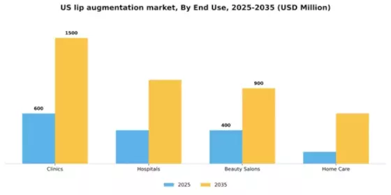 US Lip Augmentation Market Segment Image 1