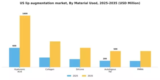 US Lip Augmentation Market Segment Image 2