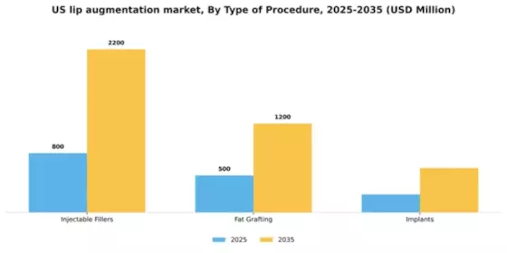 US Lip Augmentation Market Segment Image 3
