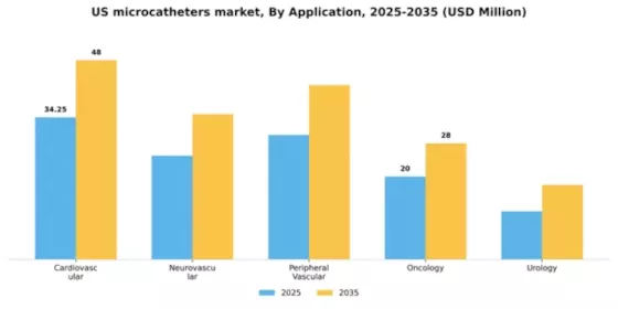 US Microcatheters Market Segment Image 0