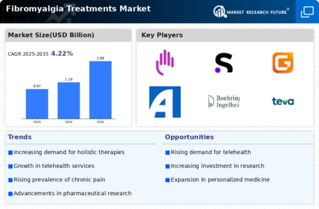 Fibromyalgia Treatments Market Infographic