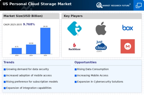 US Personal Cloud Storage Market Infographic