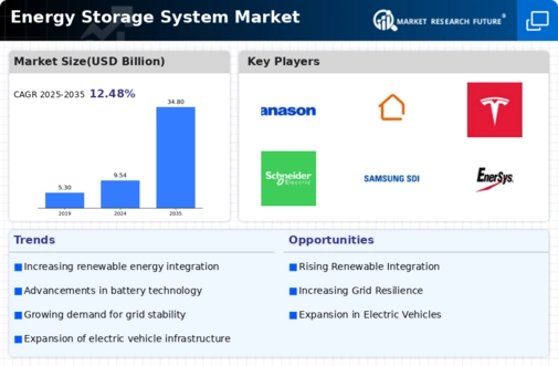 Energy Storage System Market Infographic