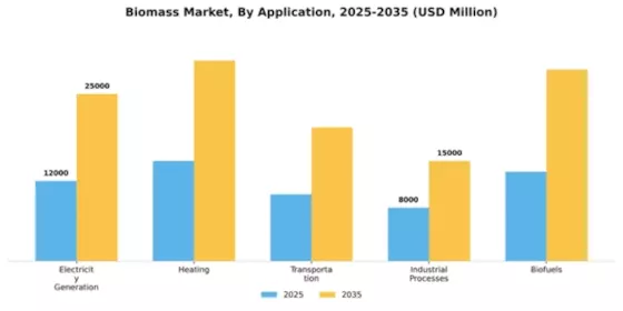 Biomass Market Segment Image 0