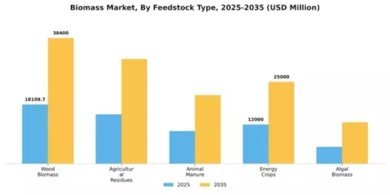 Biomass Market Segment Image 1