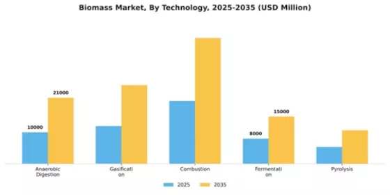 Biomass Market Segment Image 2