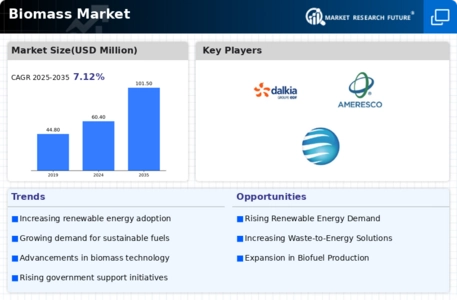 Biomass Market Infographic