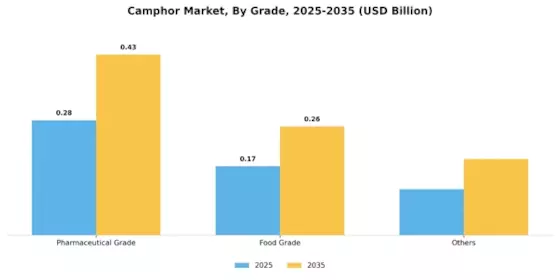 Camphor Market Segment Image 1
