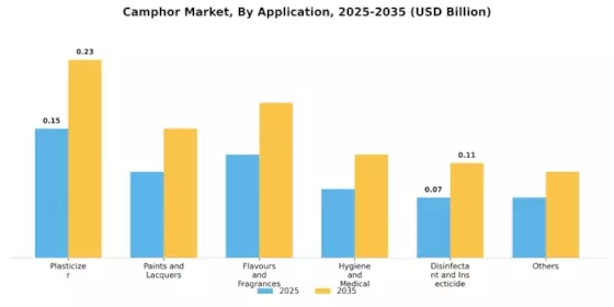 Camphor Market Segment Image 2