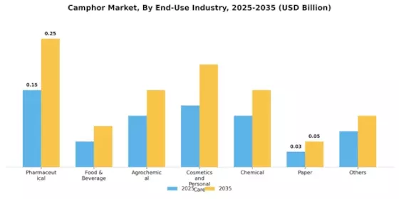 Camphor Market Segment Image 3