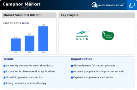 Camphor Market Infographic
