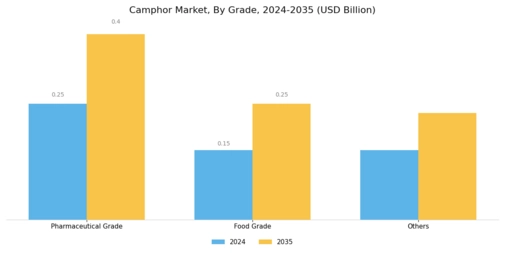 Camphor Market Segment Image 1
