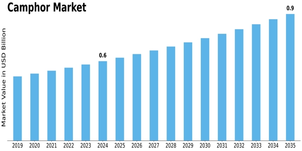Camphor Market Size