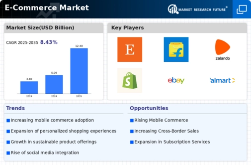 E commerce Market Infographic