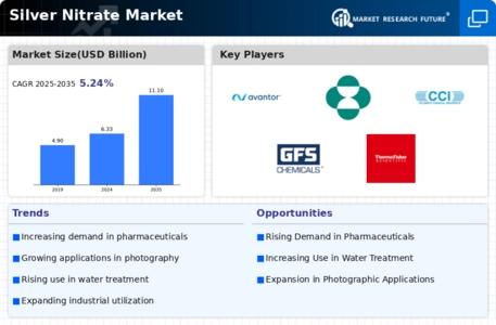 Silver Nitrate Market Infographic