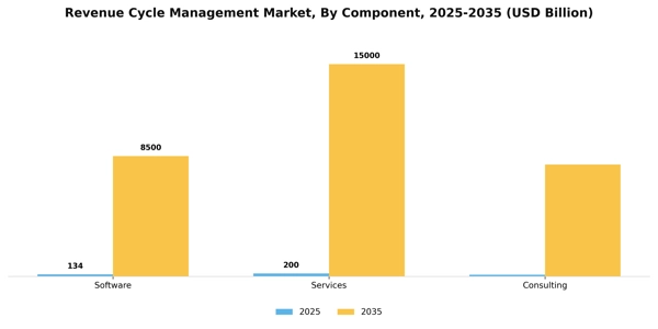 Revenue Cycle Management Market Segment Image 0
