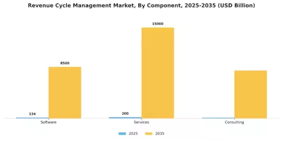 Revenue Cycle Management Market Segment Image 1