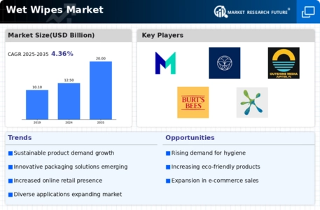 Wet Wipes Market Infographic