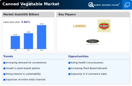 Canned Vegetables Market Infographic