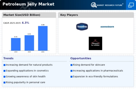 Petroleum Jelly Market Infographic