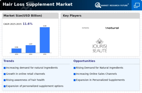 Hair Loss Supplement Market Infographic