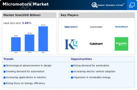 Micro Motors Market Infographic