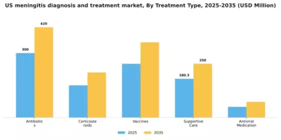 US Meningitis Diagnosis and Treatment Market Segment Image 3