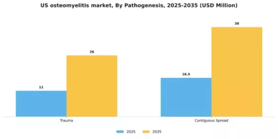 US Osteomyelitis Market Segment Image 2