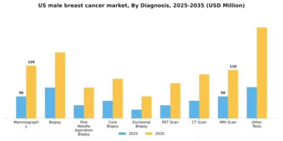 US Male Breast Cancer Market Segment Image 1