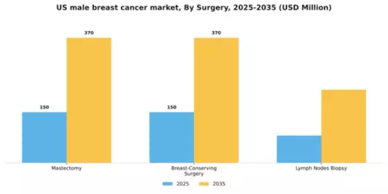 US Male Breast Cancer Market Segment Image 4