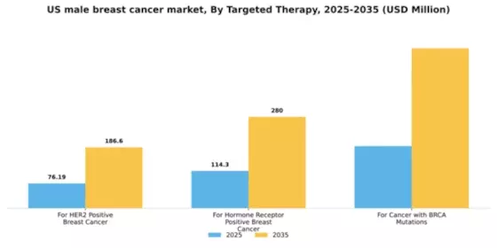 US Male Breast Cancer Market Segment Image 6