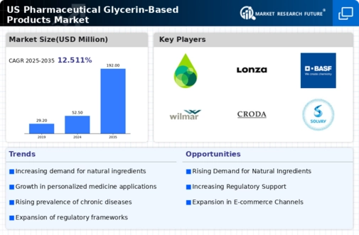 US Pharmaceutical Glycerin Based Products Market Infographic