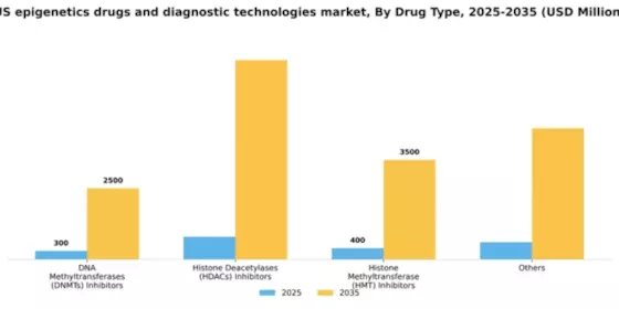US Epigenetics Drugs Diagnostic Technologies Market Segment Image 2