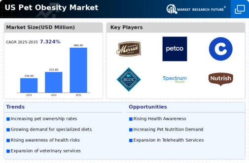 US Pet Obesity Market Infographic