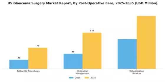 US Glaucoma Surgery Market Segment Image 1