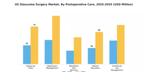 US Glaucoma Surgery Market Segment Image 2