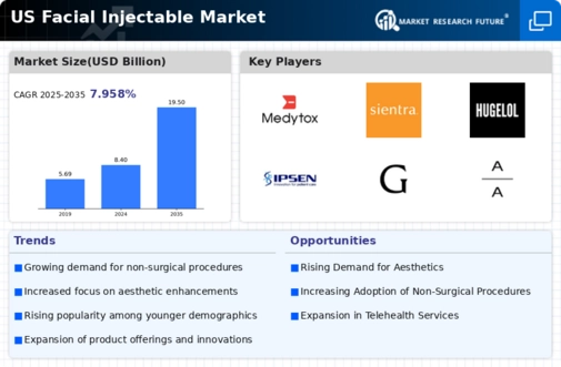 US Facial Injectable Market Infographic