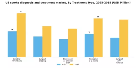 US Stroke Diagnosis and Treatment Market Segment Image 1