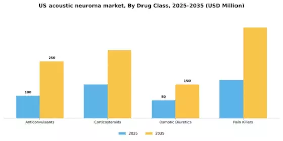 US Acoustic Neuroma Market Segment Image 1