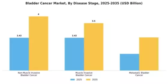 Bladder Cancer Market Segment Image 1