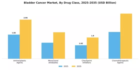 Bladder Cancer Market Segment Image 2