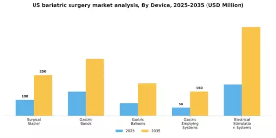US Bariatric Surgery Market Segment Image 0