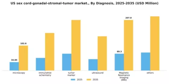US Sex Cord Gonadal Stromal Tumor Market Segment Image 0
