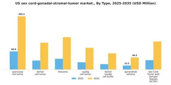 US Sex Cord Gonadal Stromal Tumor Market Segment Image 3