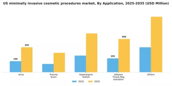 US Minimally-Invasive Cosmetic Procedures Market Segment Image 0