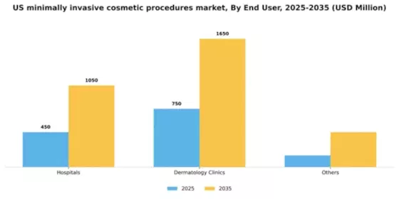 US Minimally-Invasive Cosmetic Procedures Market Segment Image 1